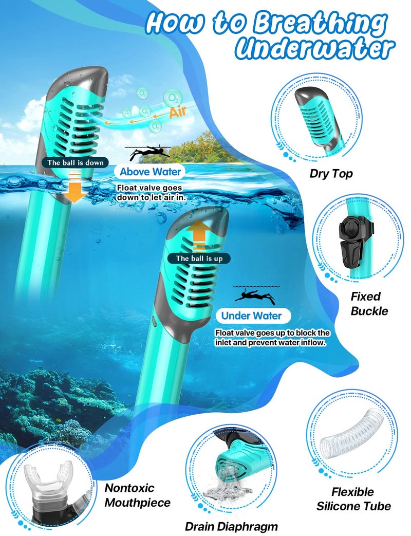 Zenoplige Mask Fins Snorkel Set, Snorkeling Gear for Adults, Panoramic View Snorkel Mask Anti-Fog, Adjustable Dive Flippers, Dry Top Snorkel and Travel Bag, Scuba Gear for Swimming Snorkeling Diving - Image 3